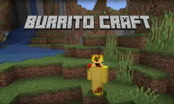 PLay Burrito Craft now!