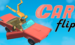 car-flip