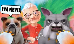 PLay Dog and Granny now!