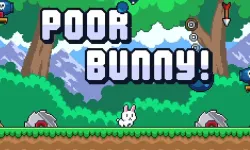 Poor Bunny