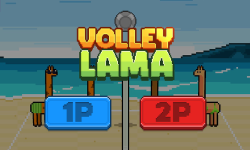 volley-lama