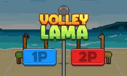 Volley Lama