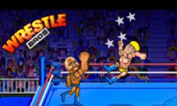 PLay Wrestle Bros now!