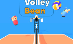 volley-bean